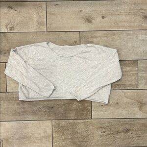 Brandy Melville Gray Crop Top